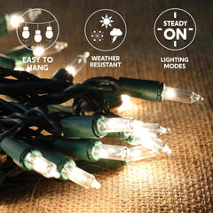 Joiedomi Clear Christmas Lights Outdoor, 100 Count 21.5FT Christmas Tree Lights Indoor, Warm White String Lights, Green Wire Xmas Lights Decorations for Holiday Event Wedding Party Decor